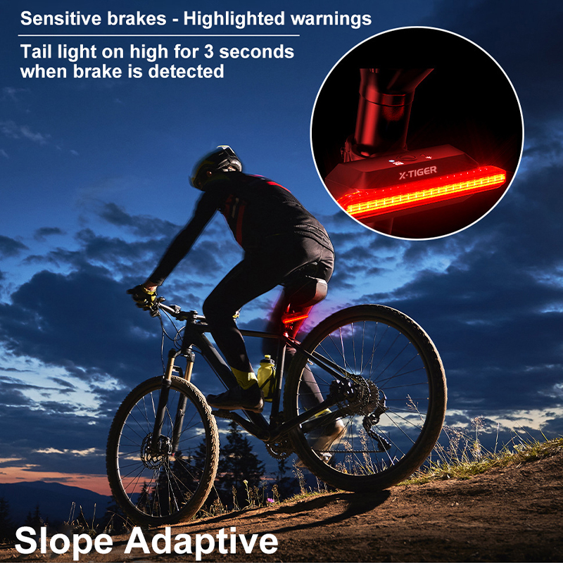 X-TIGER Bike Rear Light Smart  - Bike Dynamo Light recension och pris