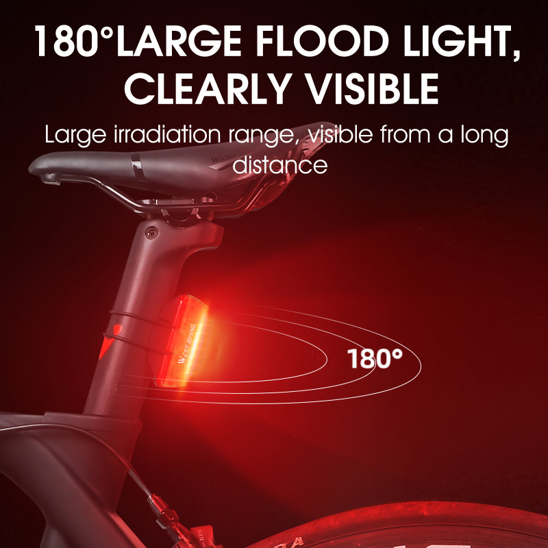 WEST BIKING Smart Bike Tail Li - Bike Dynamo Light recension och pris